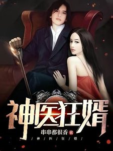 《神医狂婿》
