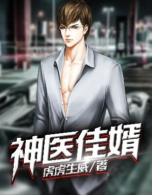 《神医佳婿》