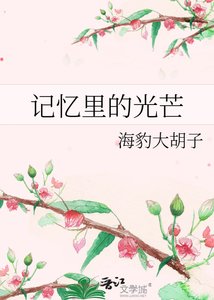 《记忆里的光芒》