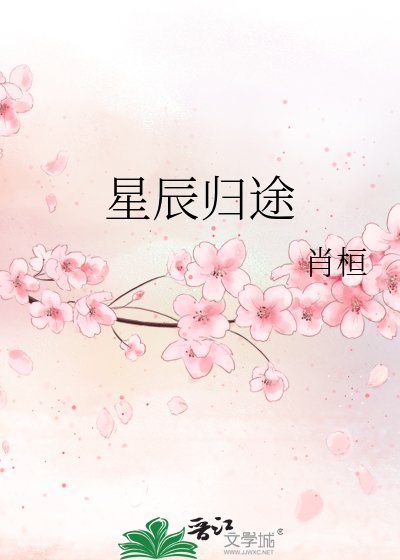 星辰归途