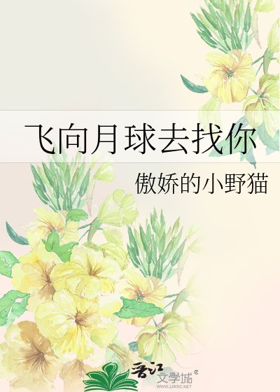 《飞向月球去找你》