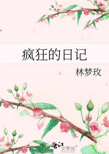 《疯狂的日记》