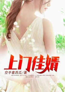 《上门佳婿》