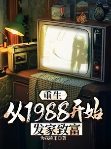 《重生:从1988开始发家致富》
