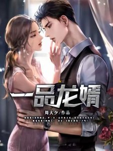 《一品龙婿》