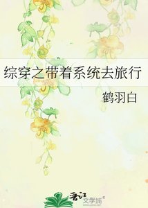 《综穿之带着系统去旅行》