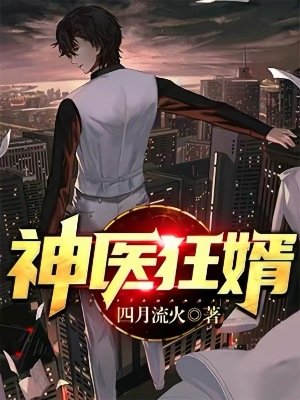 《神医狂婿》