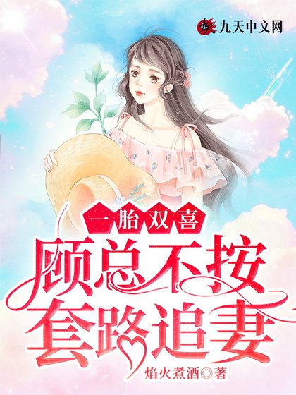 《一胎双喜:顾总不按淘路追妻》