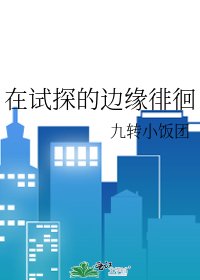 《在试探的边缘徘徊》
