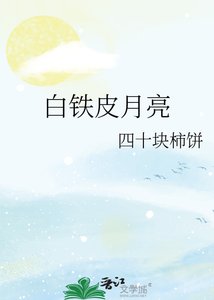 白铁皮月亮