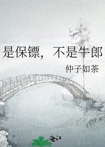 《是保镖,不是牛郎》