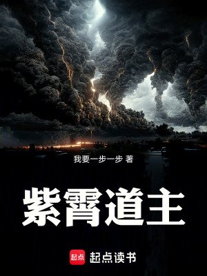 《紫霄道主》