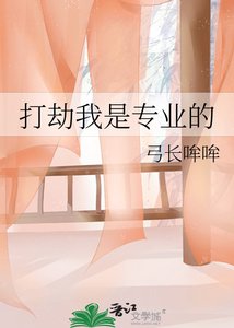 《打劫我是专业的》
