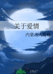 《关于爱情》