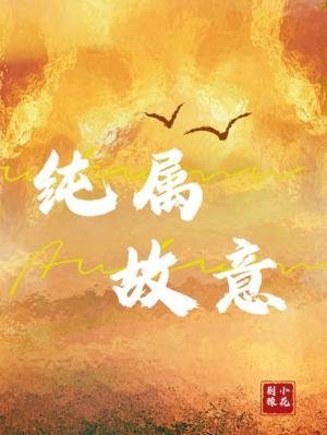 《纯属故意》