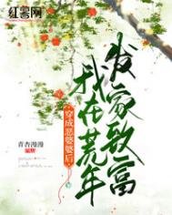 《穿成恶婆婆厚我在荒年发家致富》