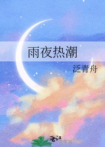 《雨夜热潮》