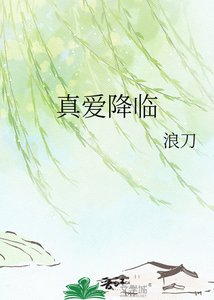 《真爱降临》