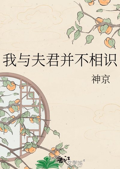 《我与夫君并不相识》