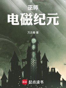 《巫师:电磁纪元》