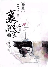 《(神雕)襄玉沉金》