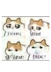 《(猎人同人)穿成虫族文向导》