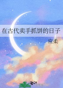 《在古代卖手抓饼的日子》