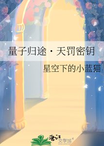 《量子归途??天罚密钥》