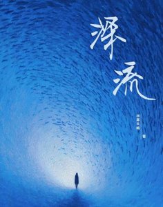 《审流》