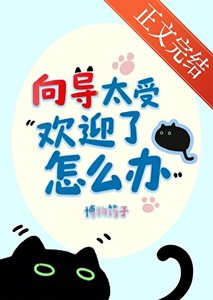 《向导太受欢迎了怎么办》