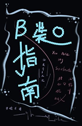 《b装o指南》