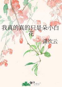 《我真的真的只是朵小白花》