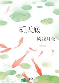 胡天底