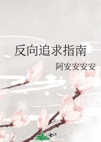 《反向追求指南》