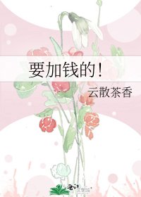 《要加钱的!》