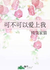 《可不可以爱上我》