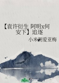 《【袁许衍生 阿明x何安下】追逐》