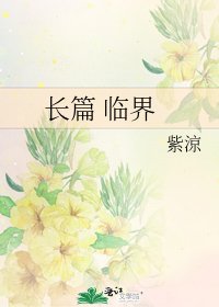 《长篇 临界》