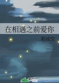 《在相遇之前爱你》