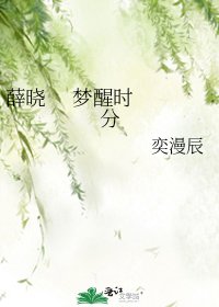 《薛晓 梦醒时分》