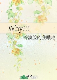 《Why?!!》