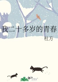 《我二十多岁的青春》