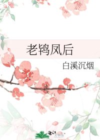 《老鸨凤后》
