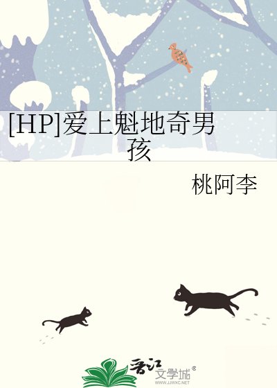 [HP]爱上魁地奇男孩