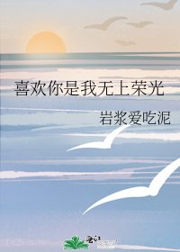 《喜欢你是我无上荣光》