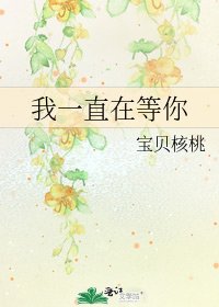 《我一直在等你》
