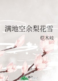 《满地空余梨花雪》