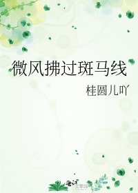《微风拂过斑马线》