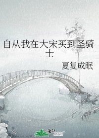 《自从我在大宋买到圣骑士》