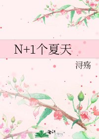 《N+1个夏天》